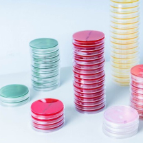 Лаборатория микробиологии