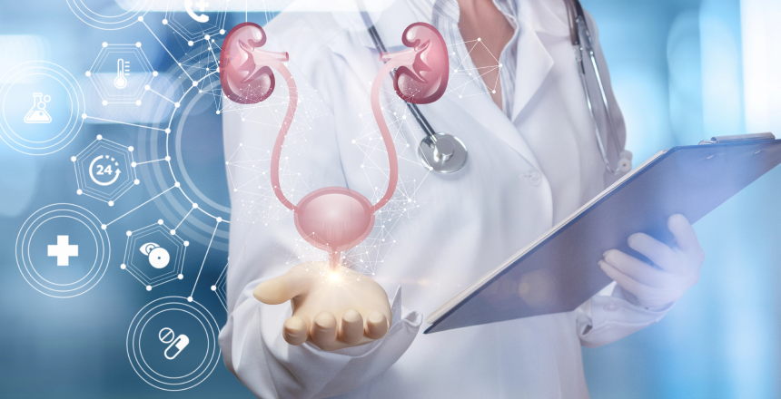 Фото - Креатинін в оцінці функціонального стану нирок