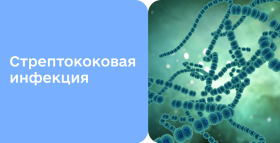 Картинка - Стрептококковая инфекция: от симптомов к методам лечения