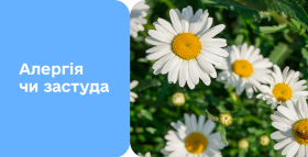 Картинка - Аллергия или простуда? 5 признаков и быстрая диагностика в Діла 