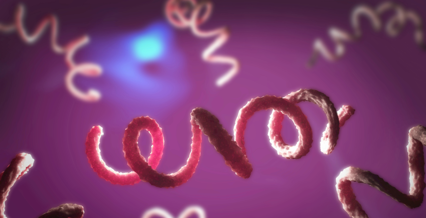 Фото - Сифіліс: симптоми, діагностика та лікування