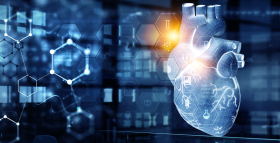 Сердце человека