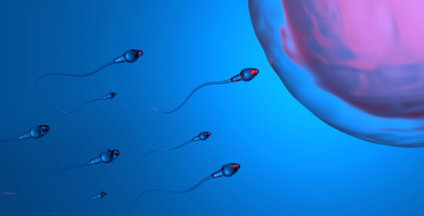 Фото - Фертильність у жінок і чоловіків: як визначити та покращити