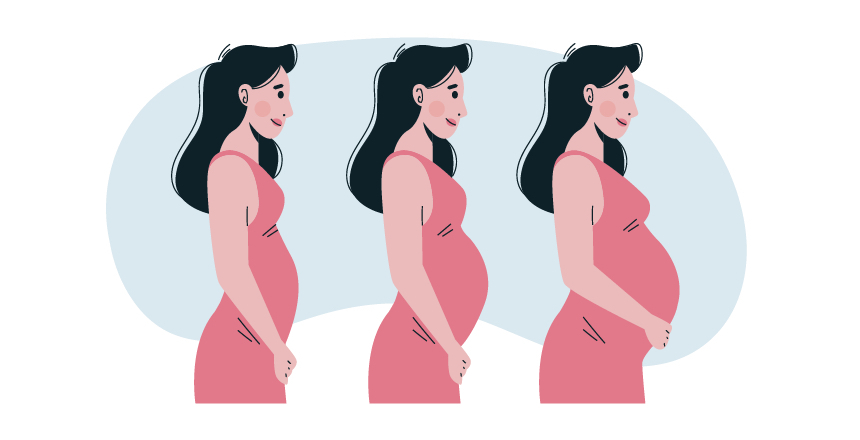 Фото - Триместри вагітності, або як розвивається плід на різних термінах виношування?