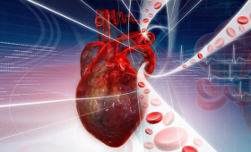 Картинка - Профилактика сердечно-сосудистых заболеваний: новые подходы к скринингу 