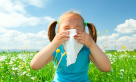 Картинка - Молекулярная аллергодиагностика: новое слово во врачебной практике