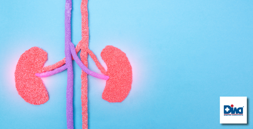 Фото - Ранняя диагностика заболеваний почек