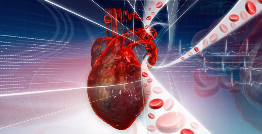 Фото - Профилактика сердечно-сосудистых заболеваний: новые подходы к скринингу 