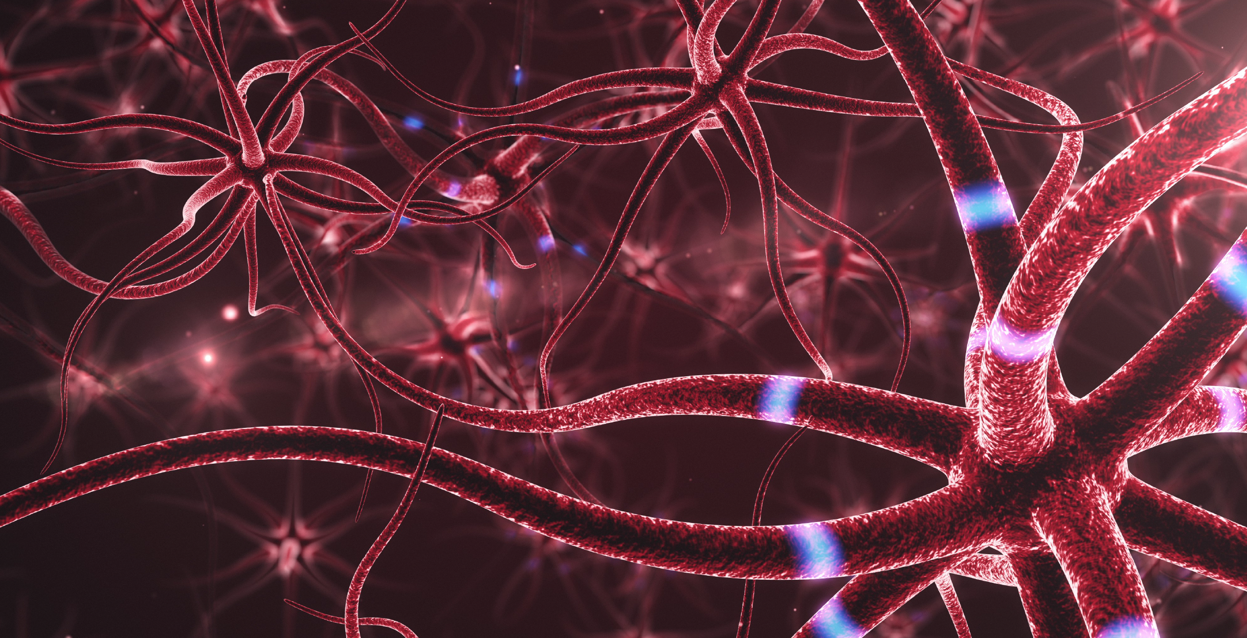 Фото - Иммунная система и стресс