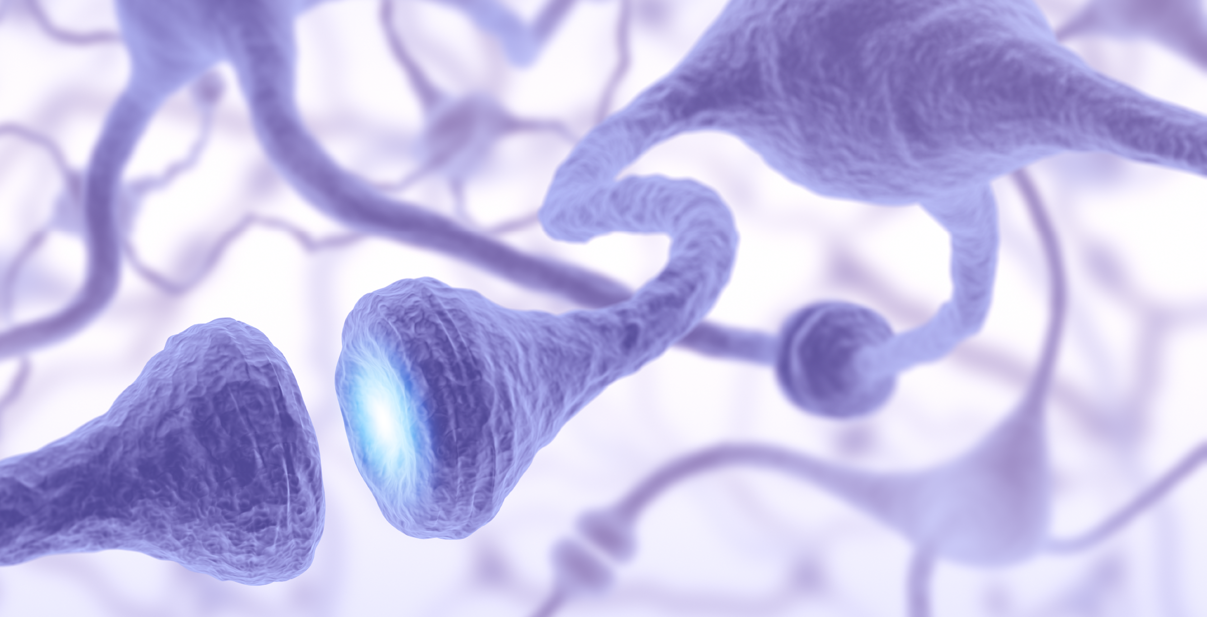 Фото - Принципы профилактики и коррекции стрессорной патологии.