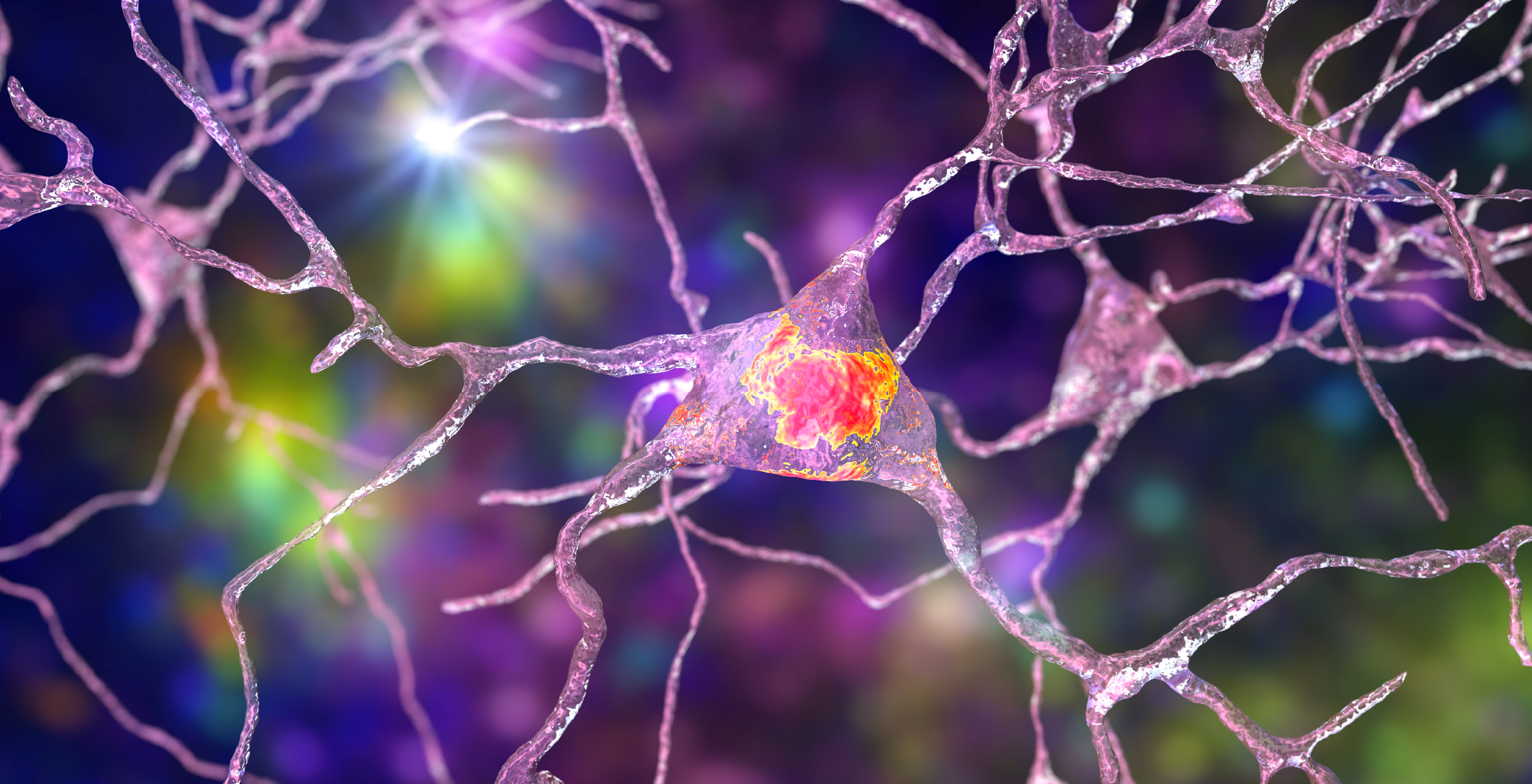 Фото - Эмоциональный стресс – возможные точки воздействия врача в разрезе знаний о механизмах стресс-реакций организма.