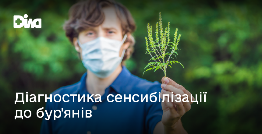 Фото - Алергія на амброзію та бур'яни: сучасна діагностика ALEX² і персоналізоване лікування