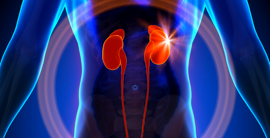 Фото - Решение клинической задачи «Скрининг на гиперкортицизм» – все ли исследования одинаково информативны