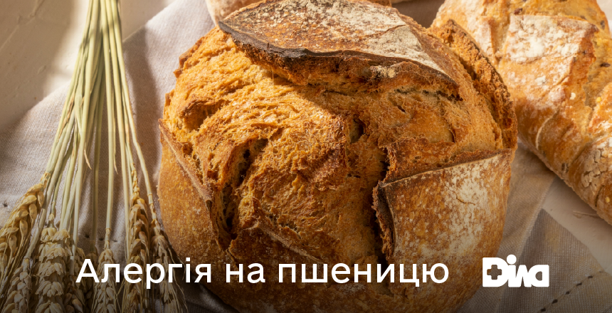 Фото - Алергія на пшеницю: сучасний підхід до діагностики