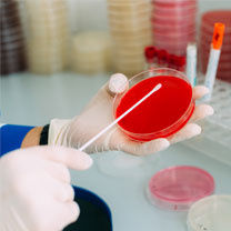 Laboratory of Microbiology and Virology