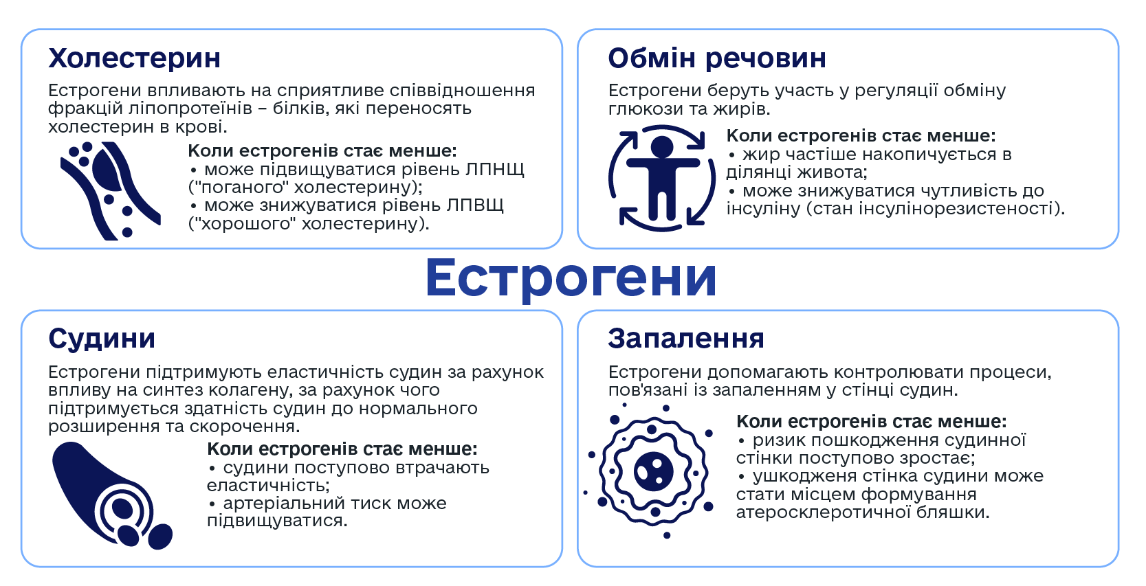 Як естрогени впливають на організм